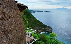 Eco-Tourist Dreamstay Treehouse